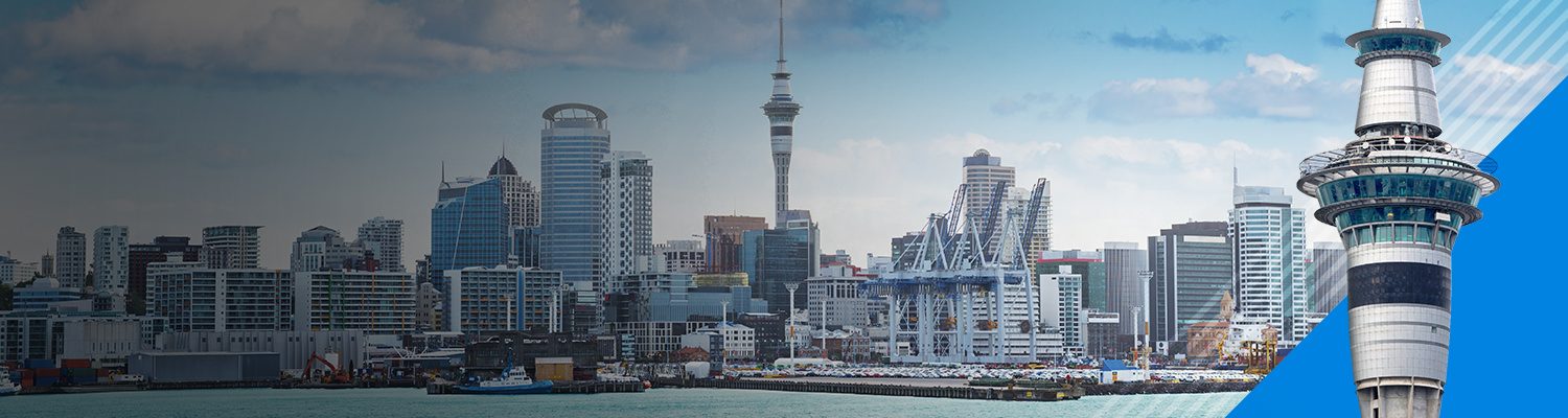 New Zealand Construction Industry